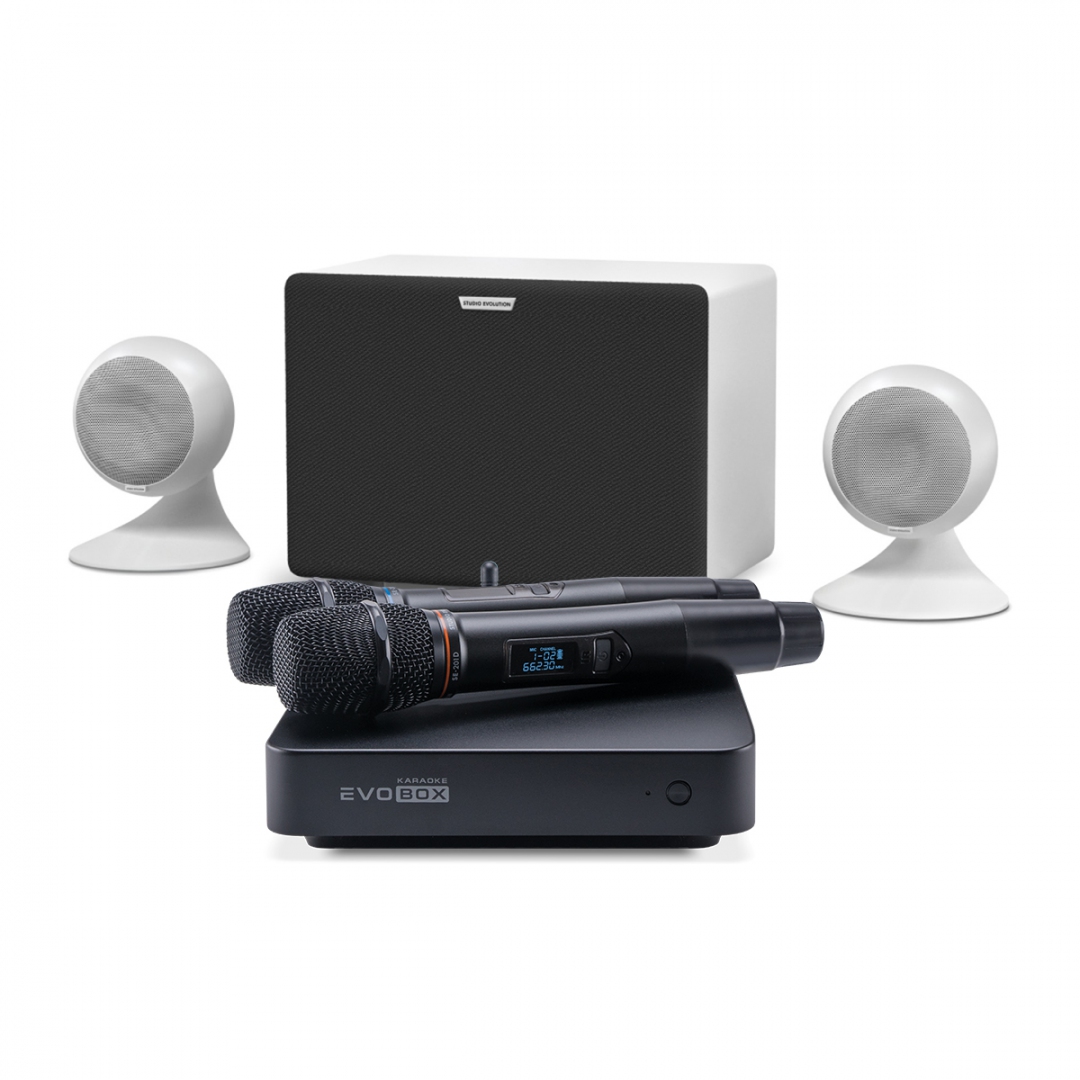 караоке-комплект EVOBOX Classic + EvoSound Sphere 2.1 в Нягани