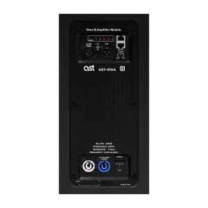 Активная акустическая система AST-310A в Нягани
