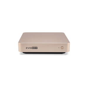 EVOBOX с микрофонами в Нягани